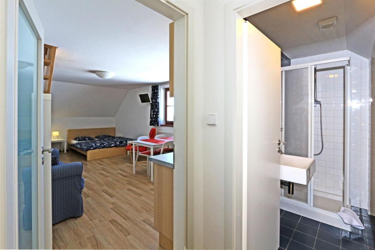Apartmany Fox Boží Dar Buitenkant foto